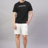 Cottonworld Regular Fit | Basic^Men's 100% Cotton Regular Fit Tshirt