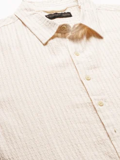 Women Cottonworld Striped | Striped^Men's Cotton Viscose Regular Fit Striped Shirt