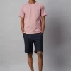 Cottonworld Regular Fit | Round Neck^Men's 100% Cotton Regular Fit Tshirt