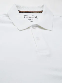 Cottonworld Regular Fit | Polo^Men's 100% Cotton Regular Fit Tshirt