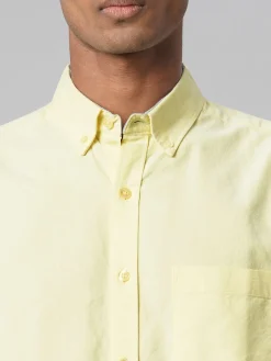 Women Cottonworld Solid | Solid^Men's Oxford 100% Cotton Regular Fit Shirt